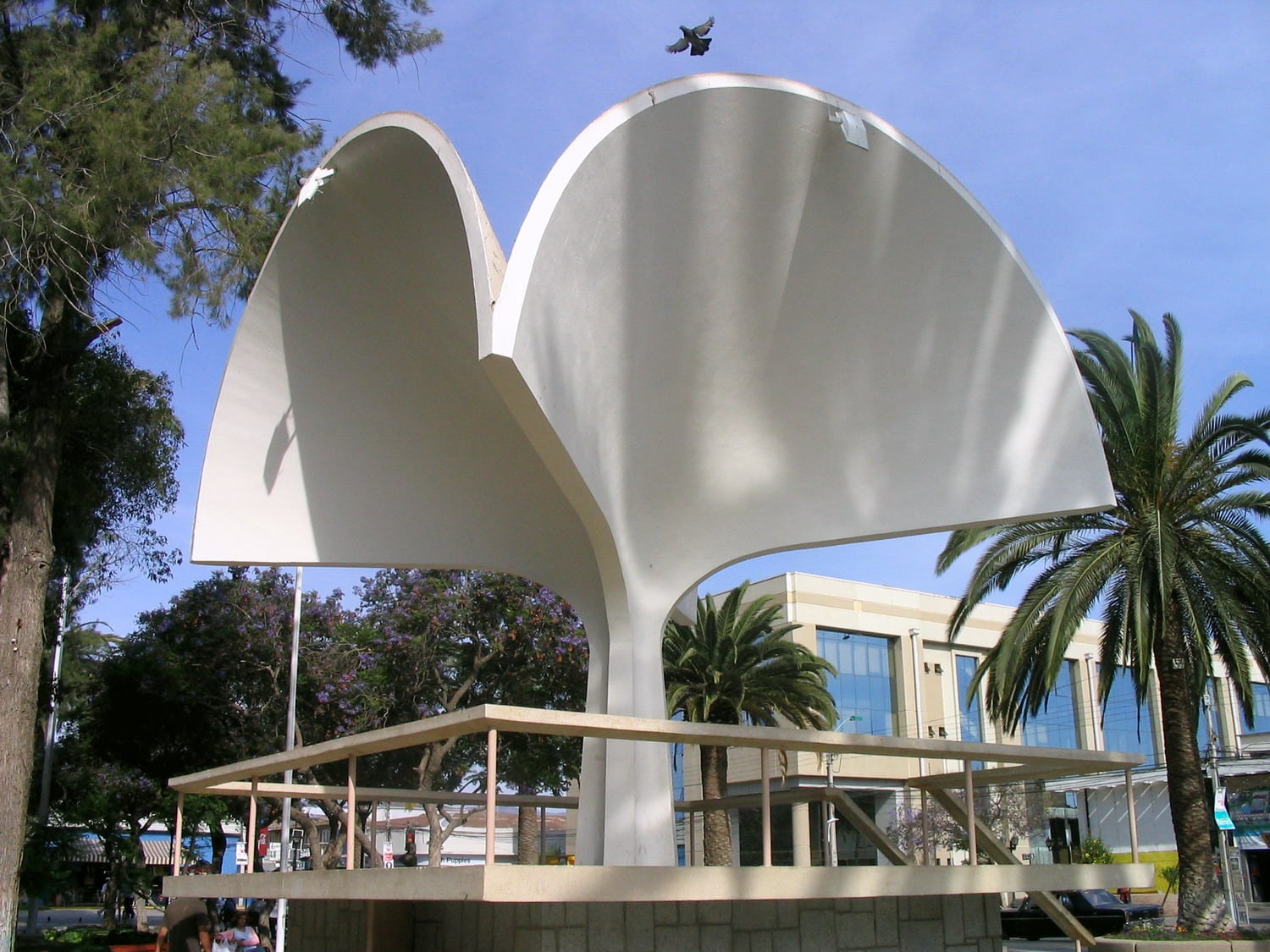 Café de la Plaza — foto 4